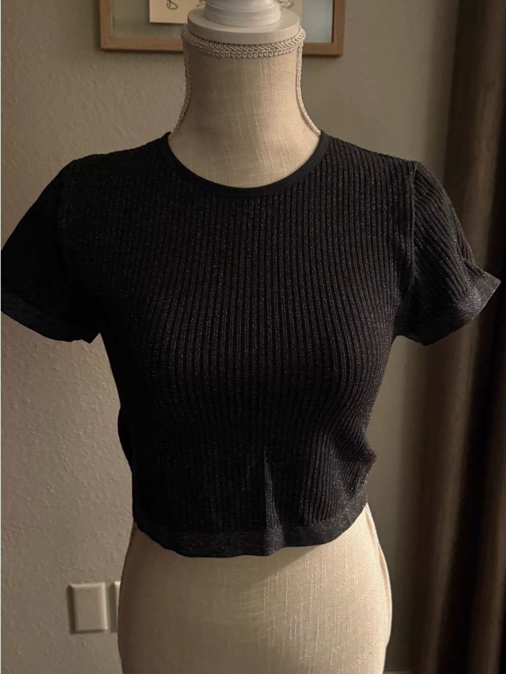wild fable Black Ribbed Metallic Short Sleeve Crop Top